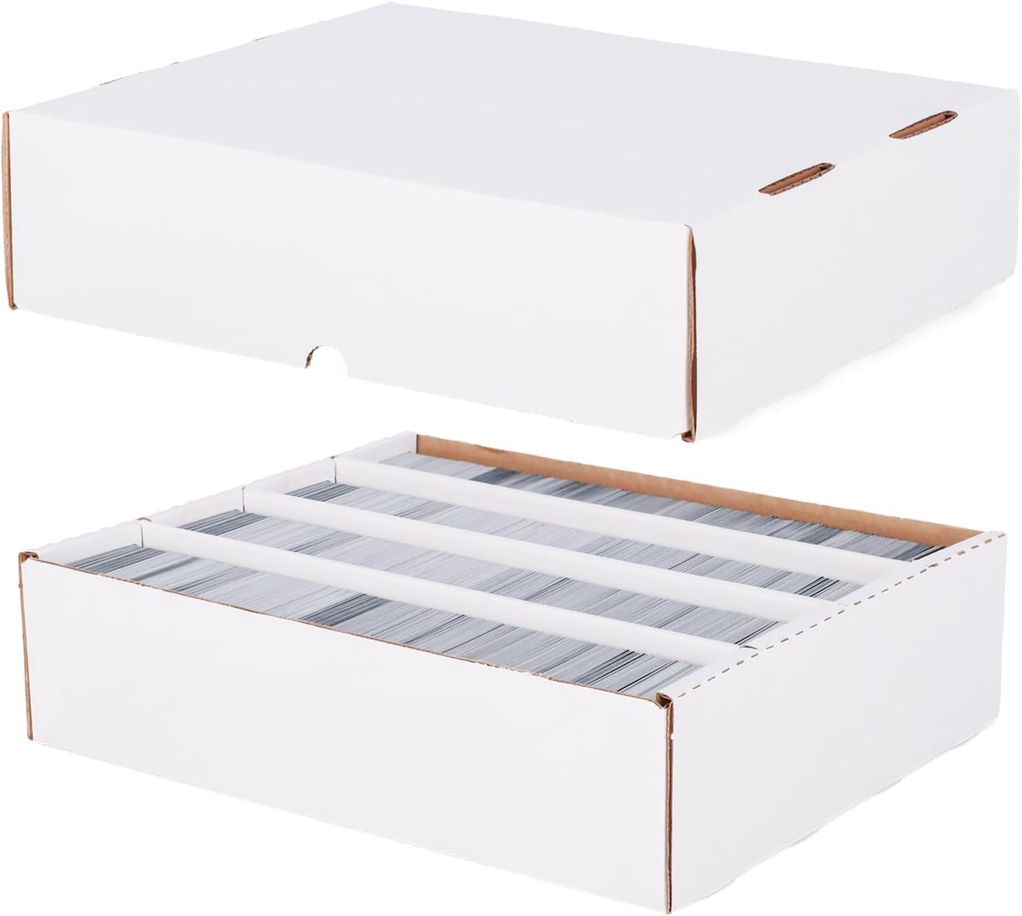 Amazon.com: BCW 3200 Count Storage Box (Full Lid) - 10ct